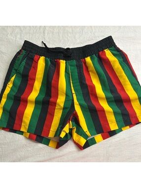 Forever 21 Men Swim Trunks Large Reggae Stripe Board Shorts Mesh Lined